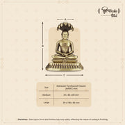 Parashvanath Swami (Digambara)